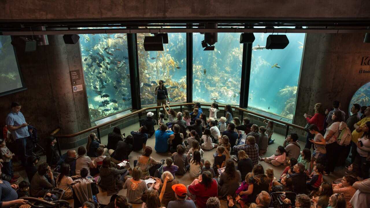 Monterey Bay Aquarium