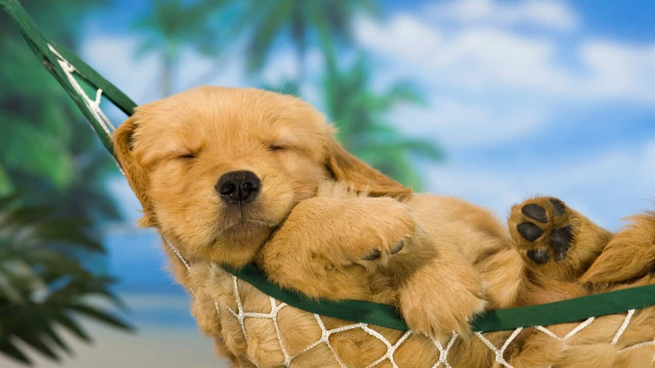 Image for read more article '更多內容'