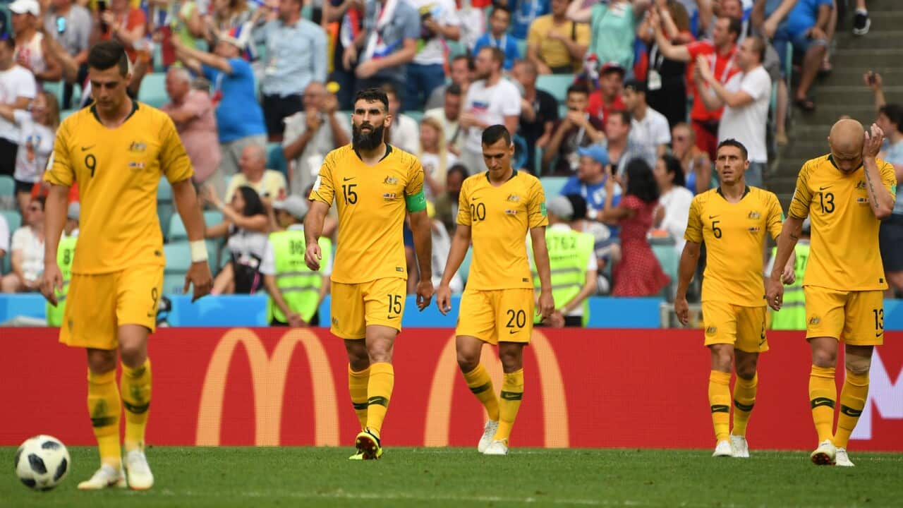 Image for read more article 'READ MORE'