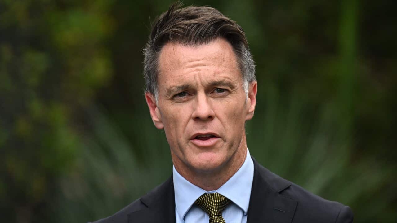 ‘Tinderbox’ can catch fire: Minns defends protest ban amid ‘frenetic’ criticism ‘Tinderbox’ can catch fire: Minns defends protest ban amid ‘frenetic’ criticism