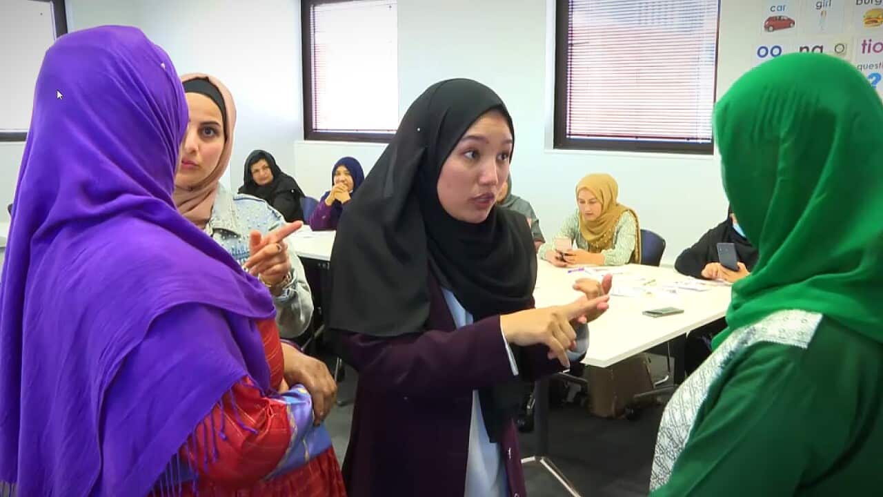 Learning English at an AMEP course (SBS).jpg
