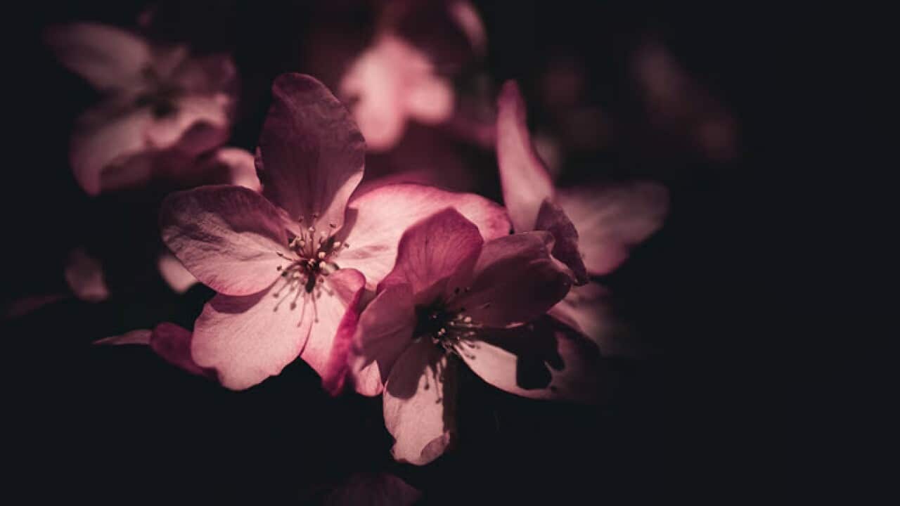 Photo by yousef alfuhigi on Unsplash