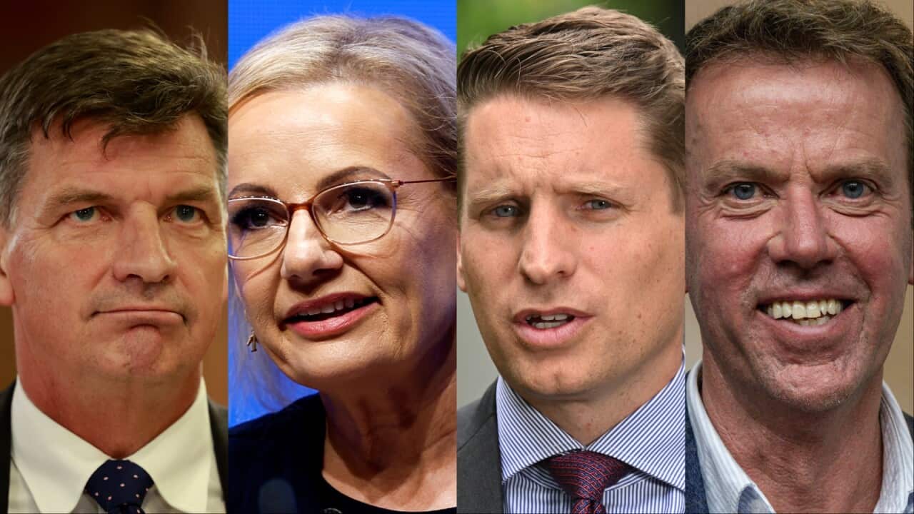 A four-way composite image of Angus Taylor, Sussan Ley, Andrew Hastie and Dan Tehan.