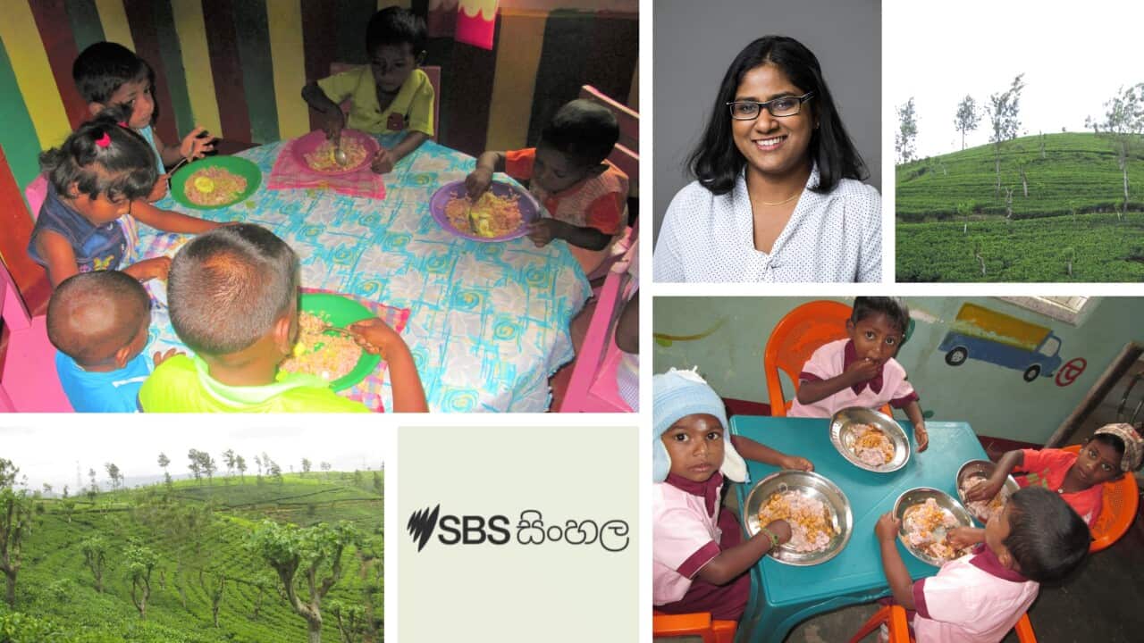 Udeni De Sila_Sri Lankan tea estate workers_kids_research_RMIT University