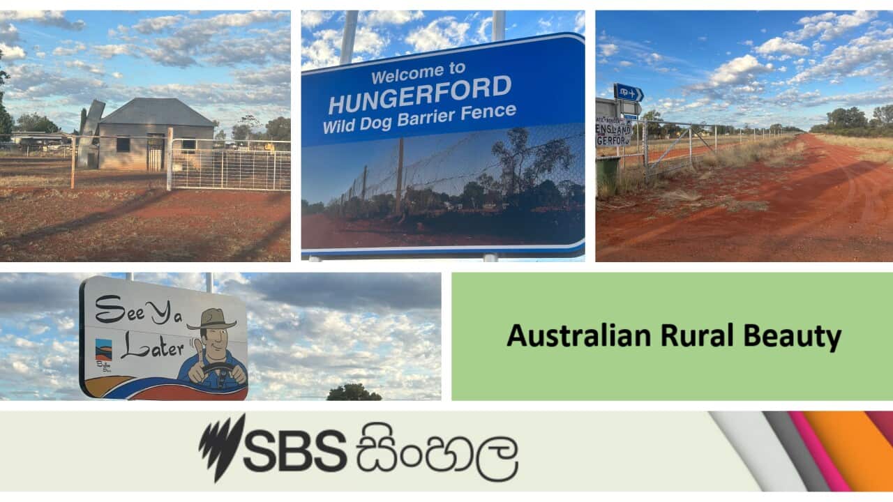 A trip to Hungerford which has the world's longest wild dog barrier