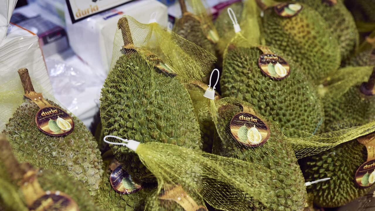 Musang King on sale at Hawker 88 Night Market.