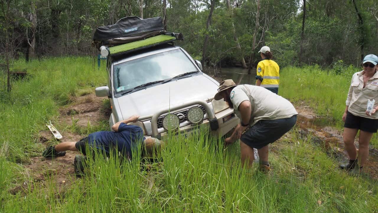 A truck bogged down in mud is inspected by Queensland Parks and Wildlife Service Rangers