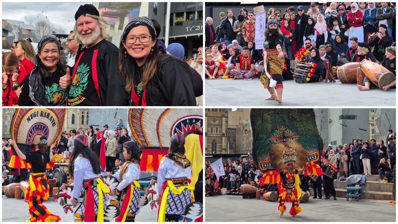 Picture i: from left to right – Nita Rahayu, Aaron Hall and  Ifrin Fittock from Reog Jangkar Bumi and gamelan Mugi Rahayu in Bendigo. 
Picture 2: Nita Rahayu, playing Bujang Ganong.
Pictures 3 & 4: Live performance Reog Ponoroga Jangkar Bumi and gamelan Mugi Rahayu at Federation Square, 17 Aug 2025. (SBS Indonesian). 
