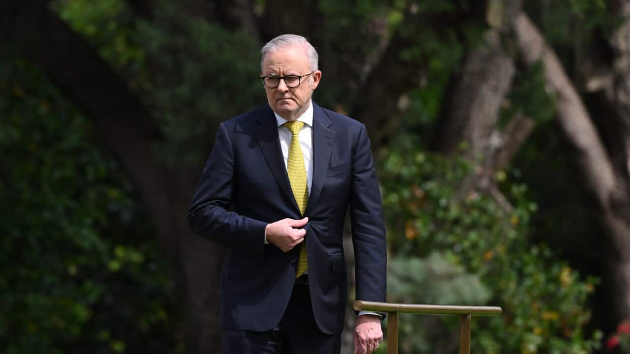 Anthony Albanese wears a black suit and yellow tie