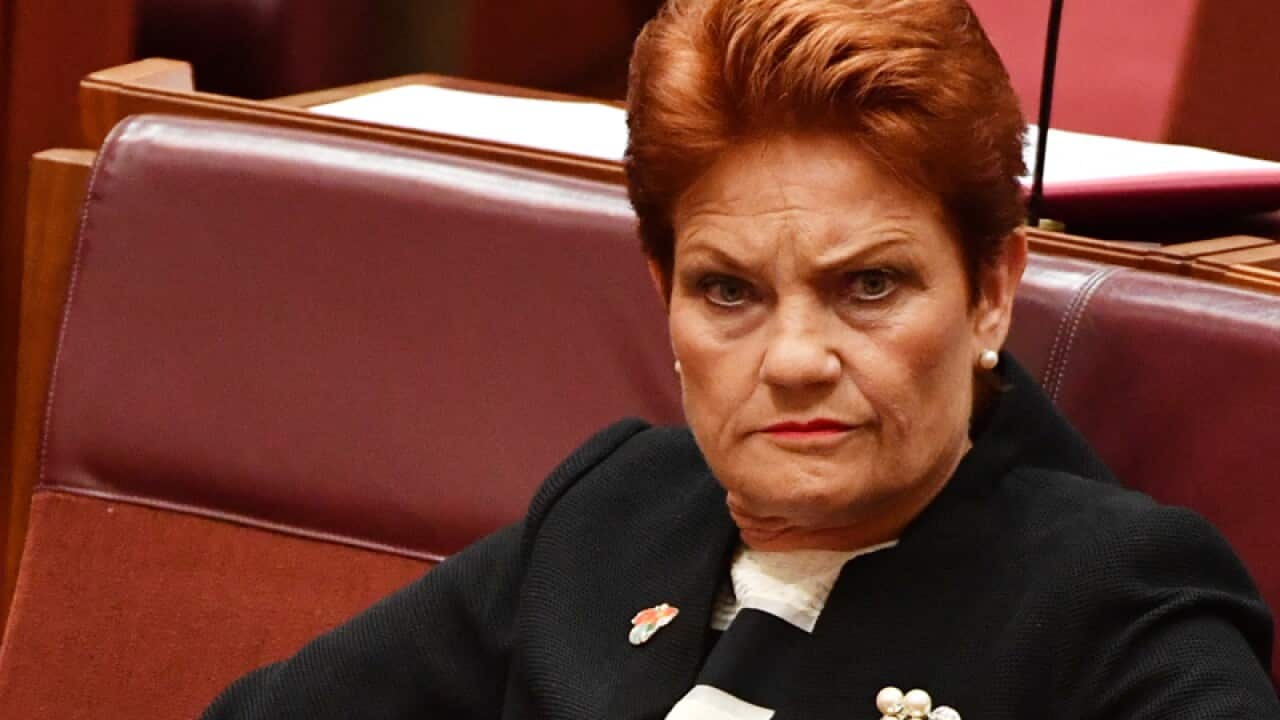 One Nation leader Senator Pauline Hanson
