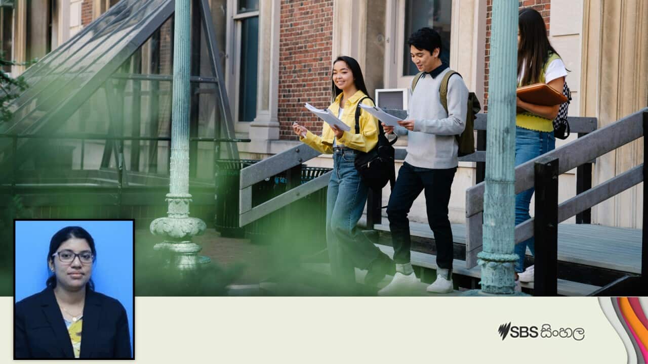 Interview - Deshani D - Int Students.jpg