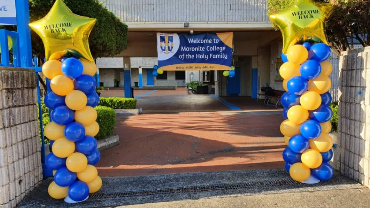 Image for read more article 'READ MORE'