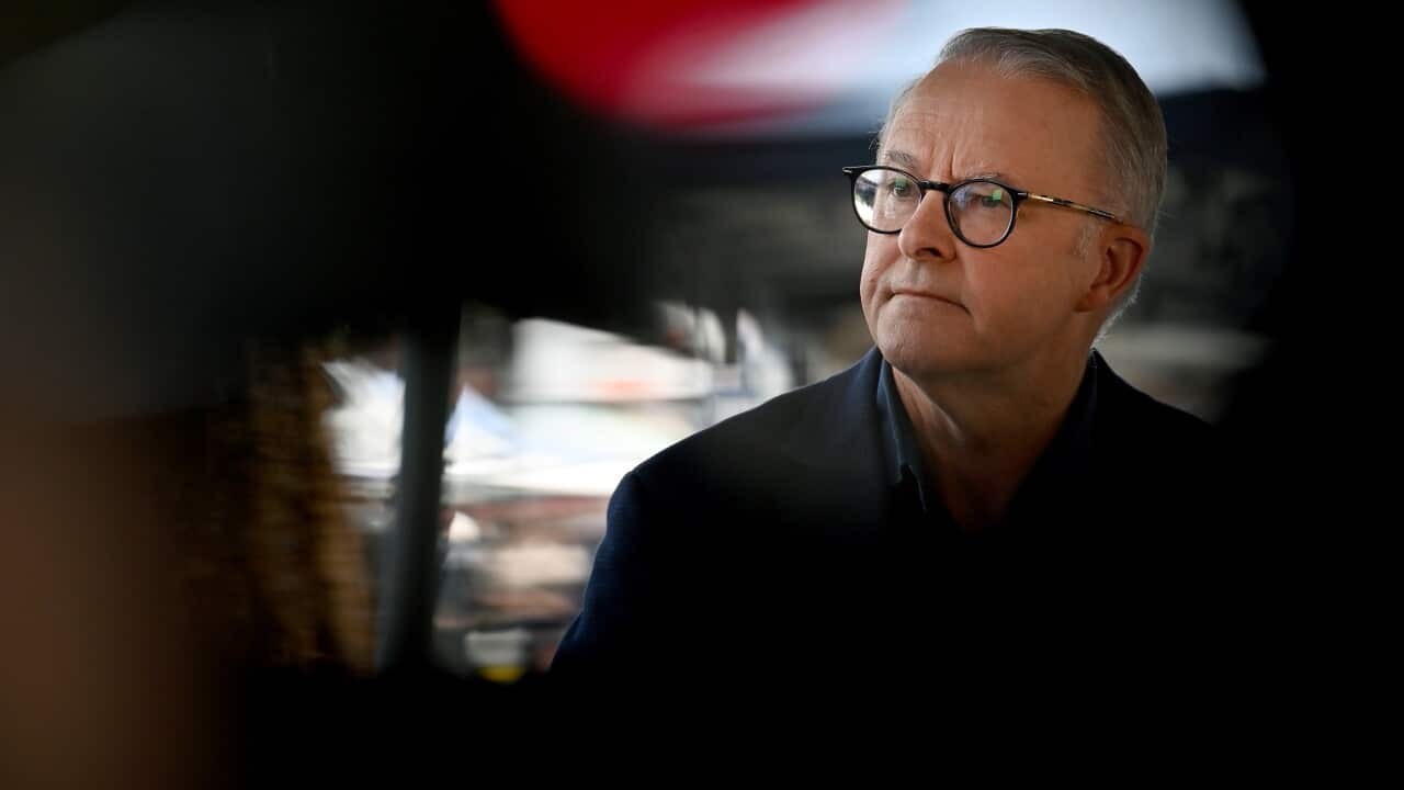 Federal Opposition leader Anthony Albanese speaks to the media during a press conference in Sydney on Saturday.