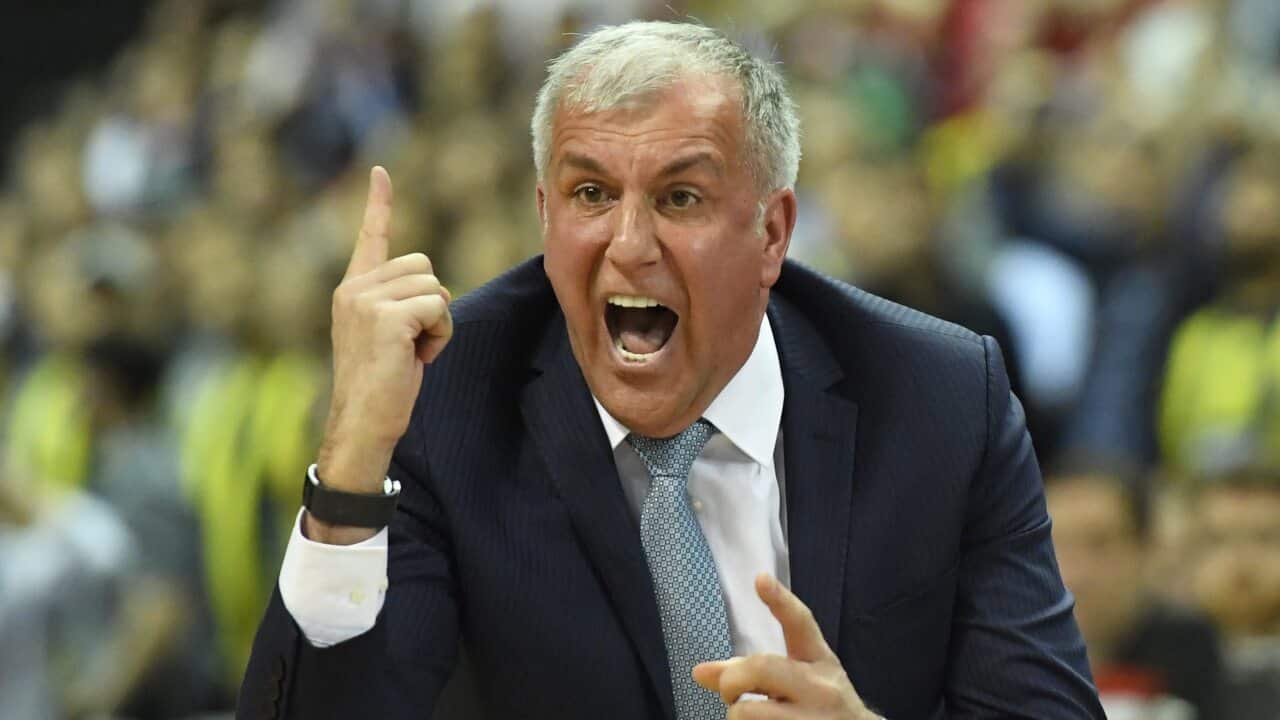 Head coach Zeljko Obradovic of Fenerbahce Istanbul reacts during the Euroleague Final Four second semi final basketball match between Fenerbahce Istanbul and Laboral Kutxa Vitoria in Berlin, Germany.