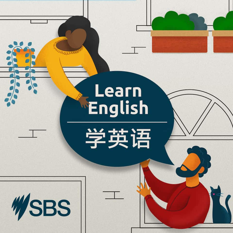 Sbs 学英语 Sbs Chinese Sbs 学英语 Sbs Chinese