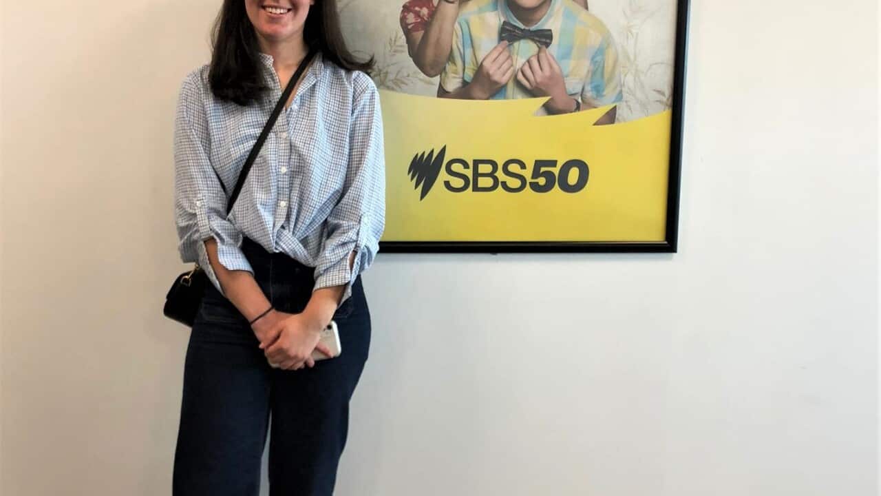 WhatsApp Image 2025-09-12 at 2.29.55 PM.jpeg