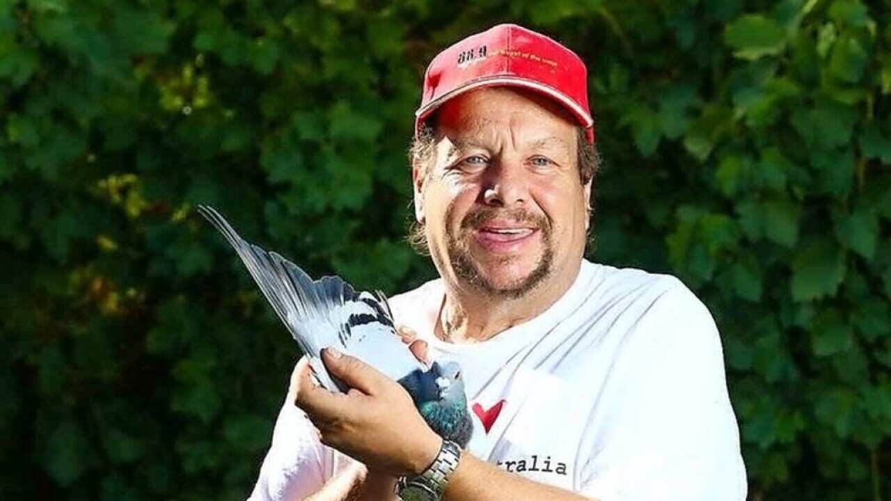 Ivica Fonti Pigeon Radio 