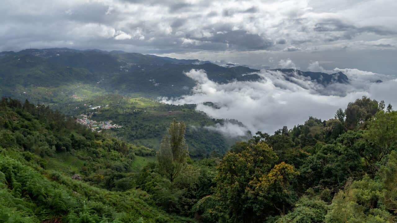 Scenic view of forest against sky,Coonoor,Tamil Nadu,India