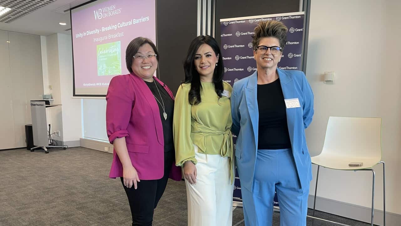 Koon Lei, Maryam Zahid and Nareen Young are calling for companies to better reflect multicultural Australia (Supplied SBS).