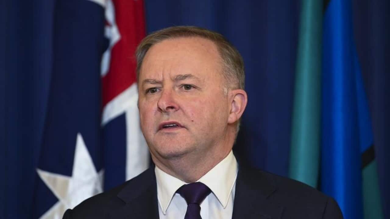 Labor leader Anthony Albanese speaks to the media in Canberra.