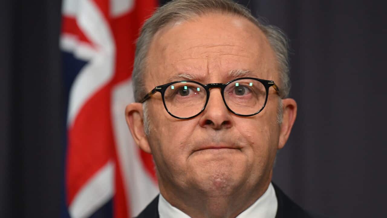 ANTHONY ALBANESE BONDI BEACH SHOOTING