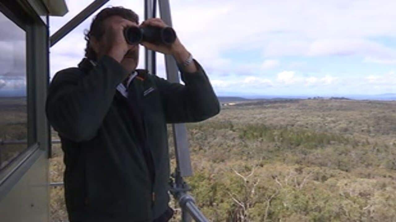 Image for read more article 'RELATED READING'