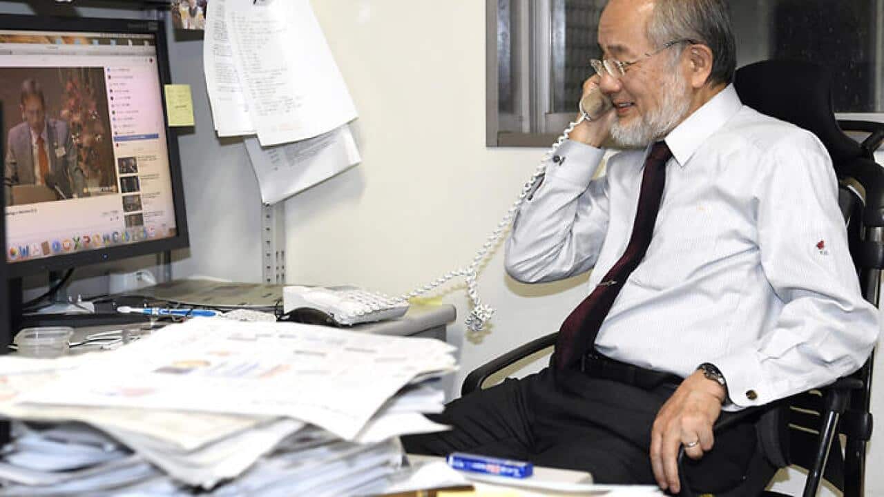 Image for read more article ''