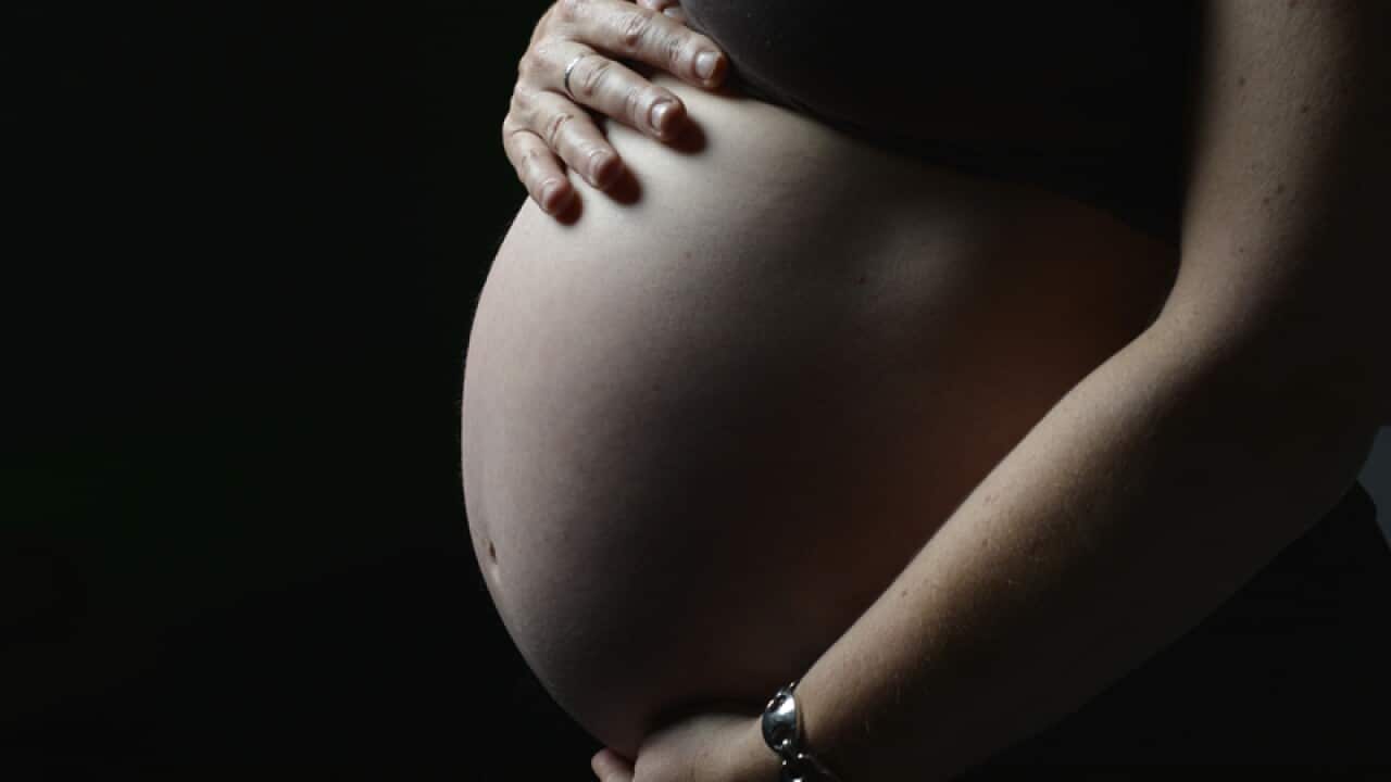 Pregnancy stock in Sydney