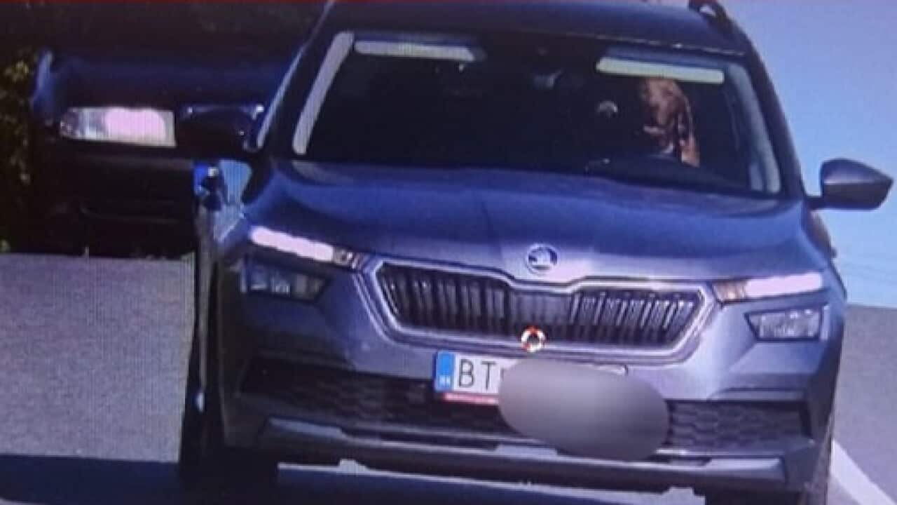 ‘We ruined his plans’: Police spot dog behind the wheel of a car, fine his owner ‘We ruined his plans’: Police spot dog behind the wheel of a car, fine his owner