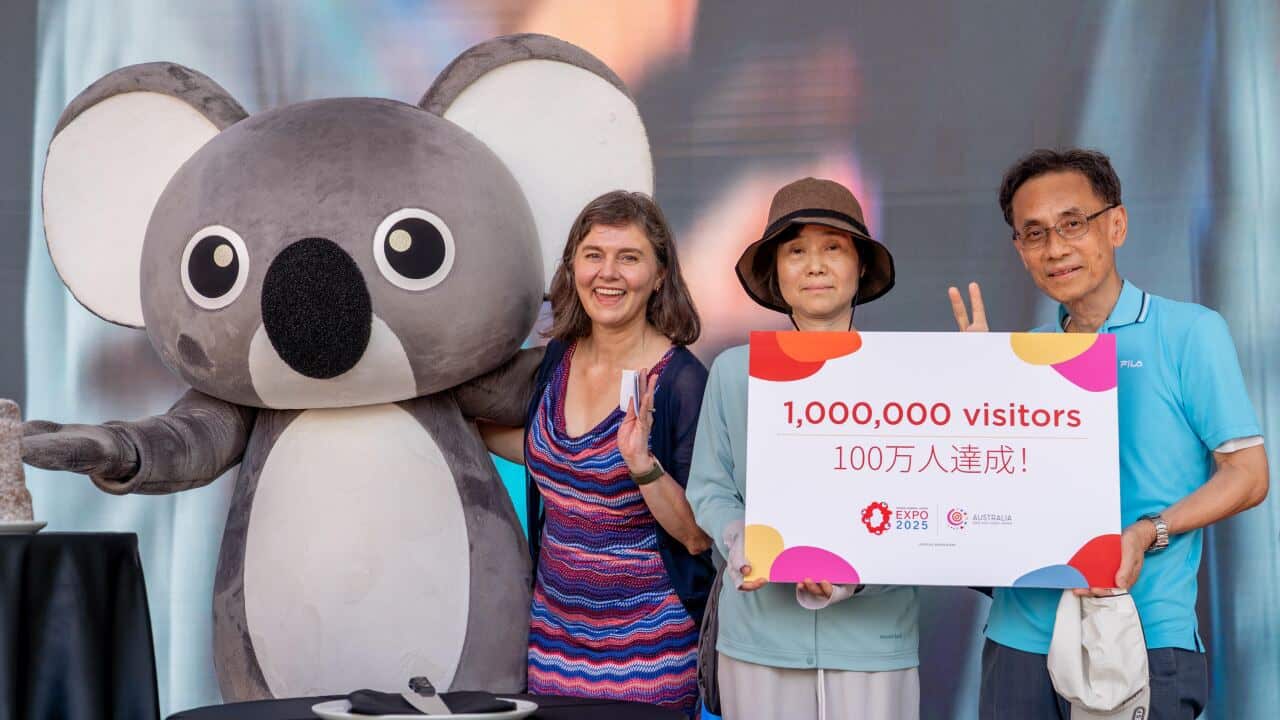 250627 One millionth Event report_02.jpg