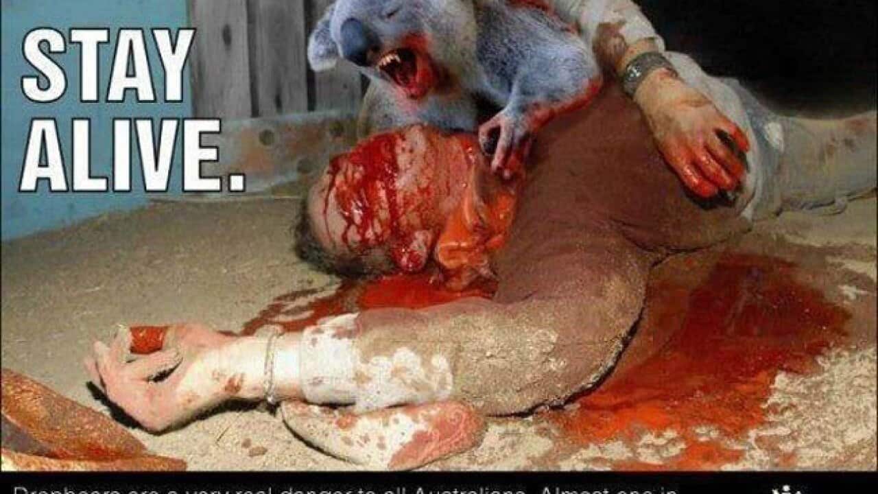 electorate_bear_batman_1070336323