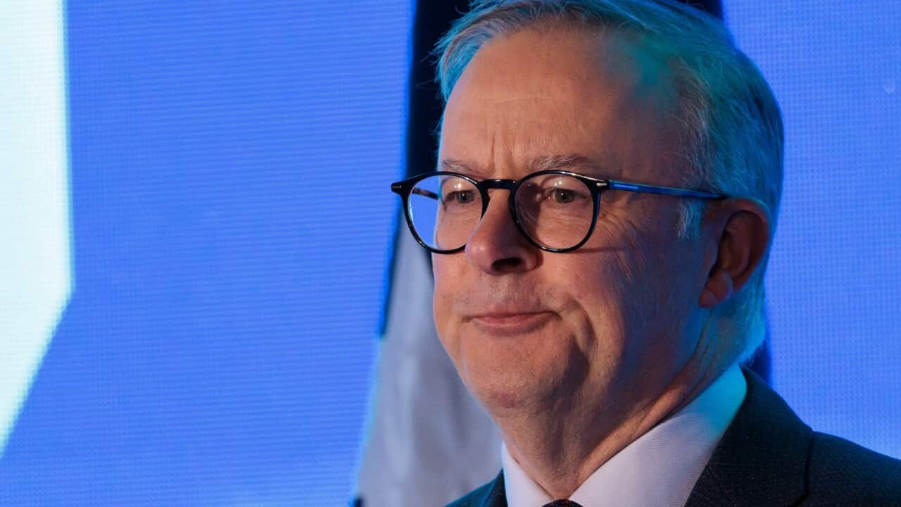 Prime minister Anthony Albanese