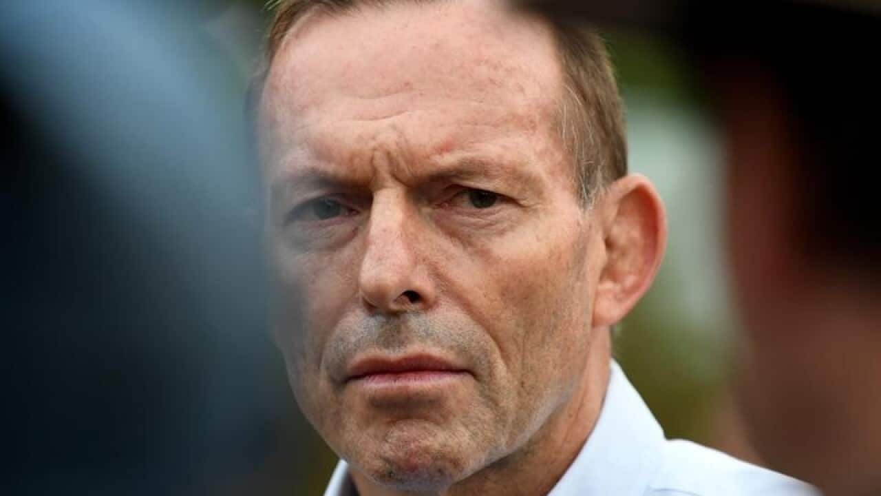 A file image of Tony Abbott