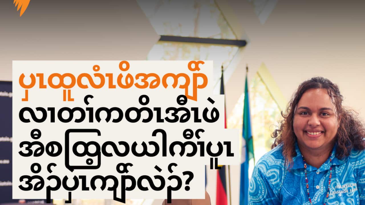 Copy of AE Indigi language diversity.png