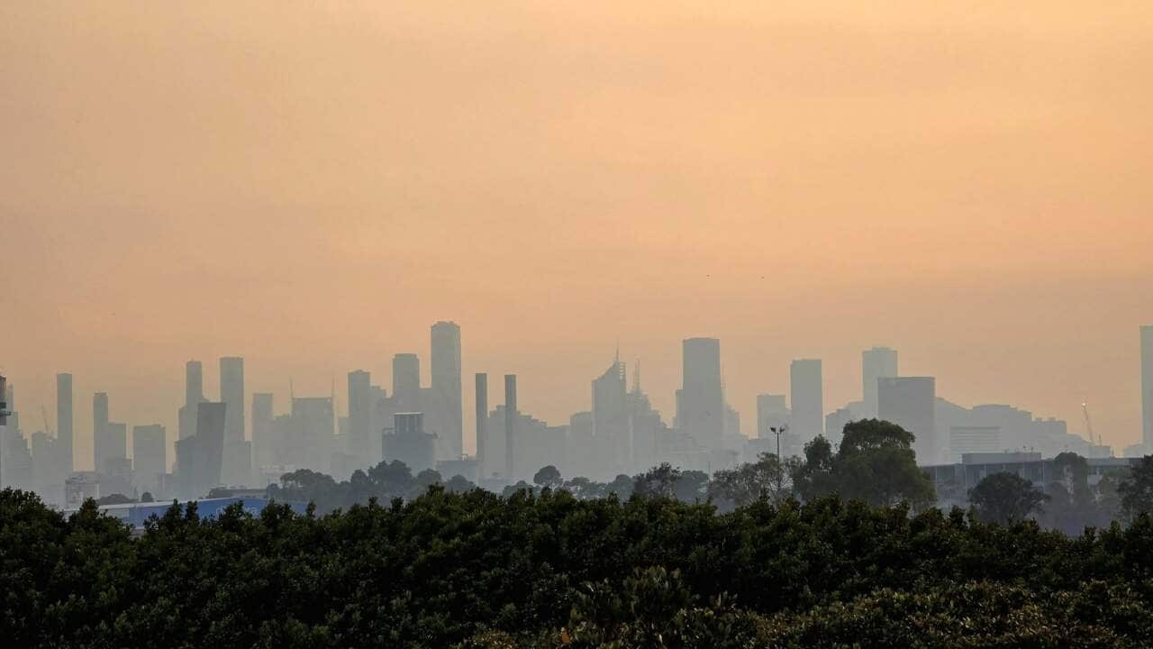A smoggy sunset over a city.