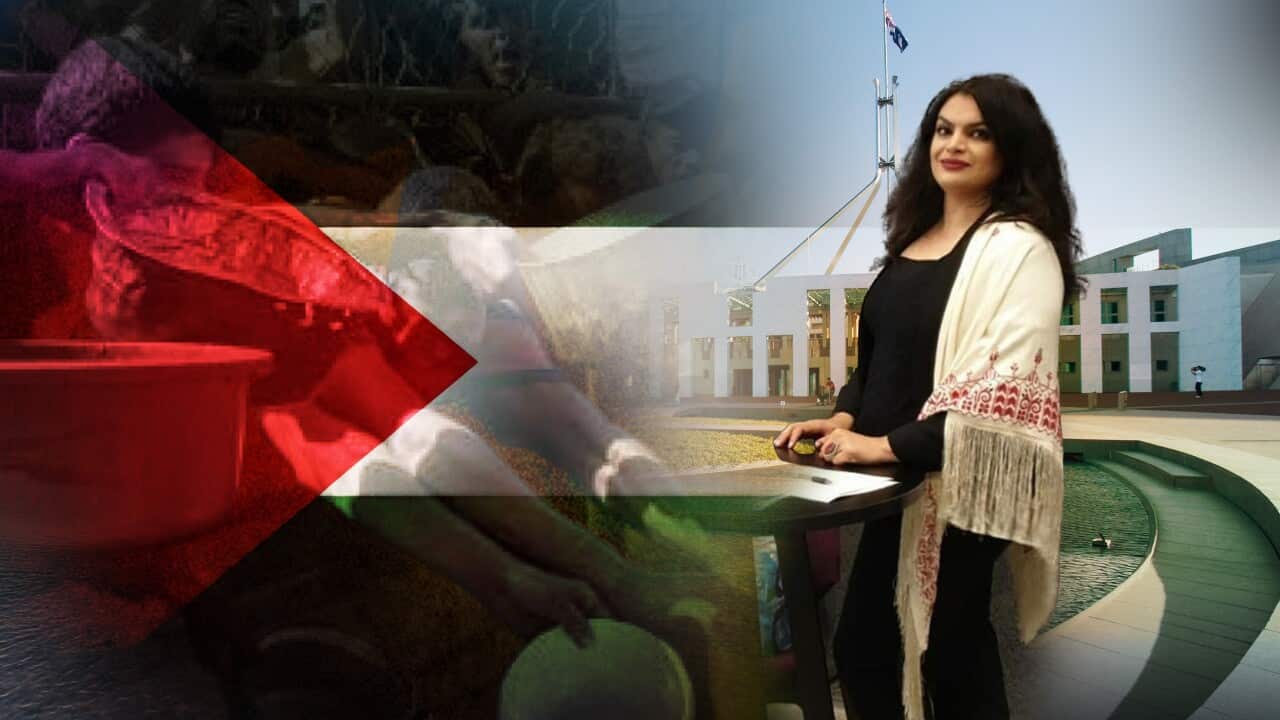 050825 HEADER -SANA (1).jpg