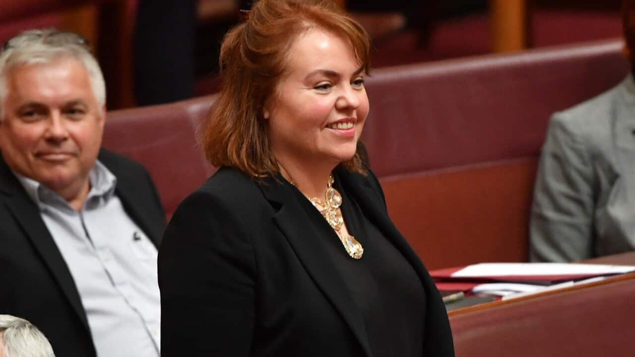 Labor Senator Kimberley Kitching is a co-chair of the alliance.