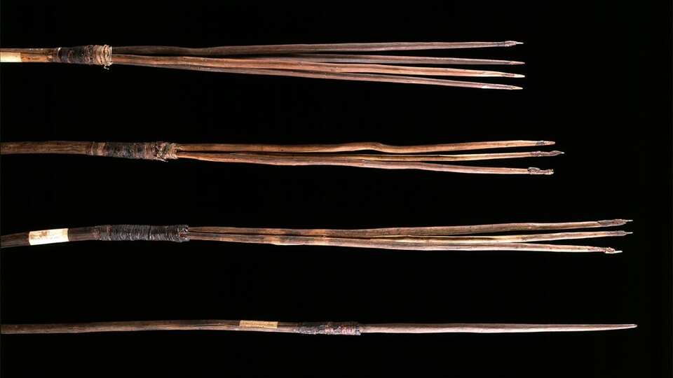 The strategies and weapons Indigenous people used in the face of ...
