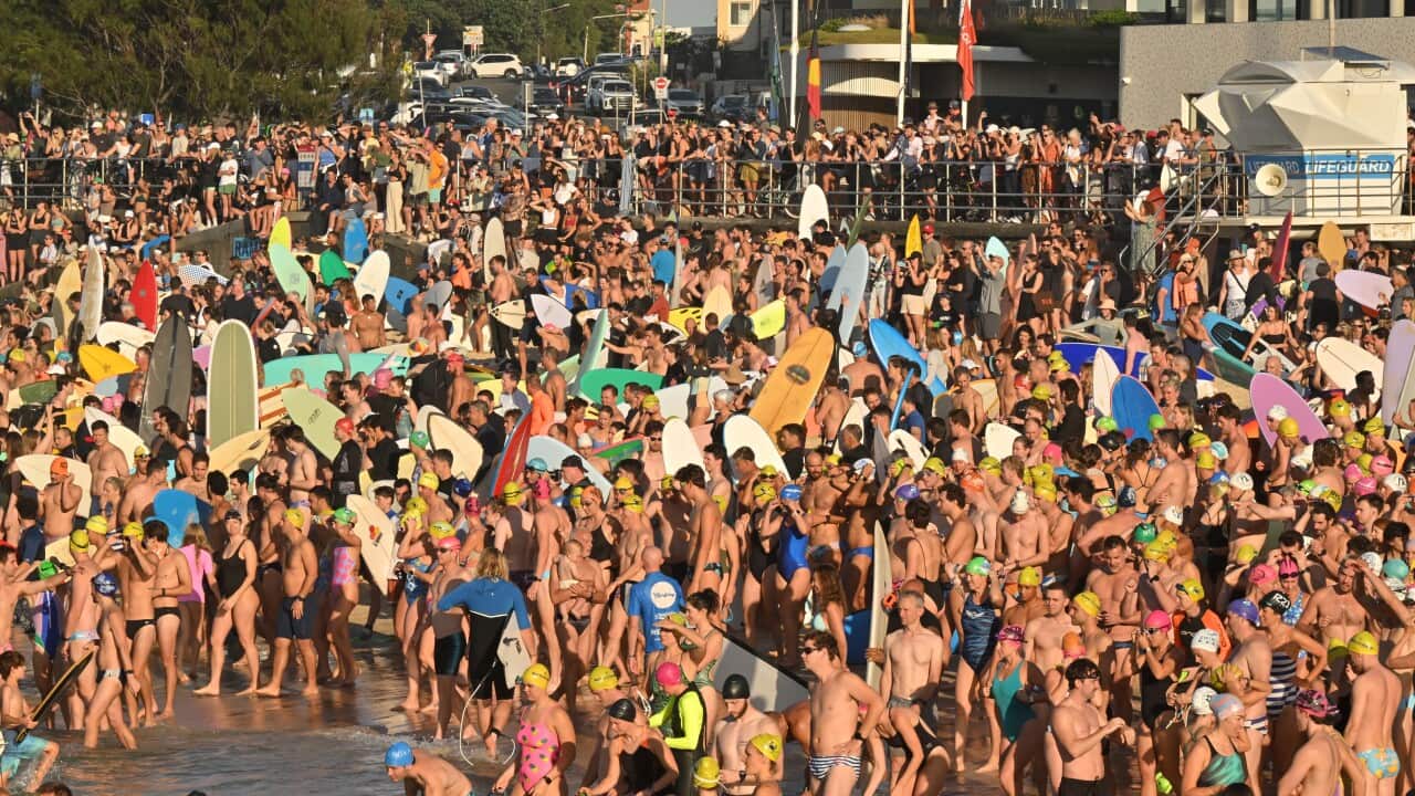 Image for read more article 'READ MORE'