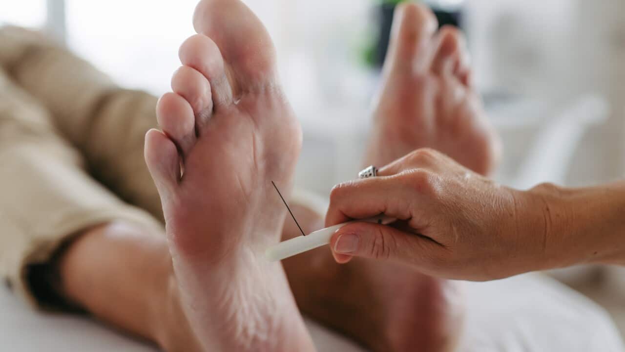Diabetologist testing for loss of sensation in a patient's feet.