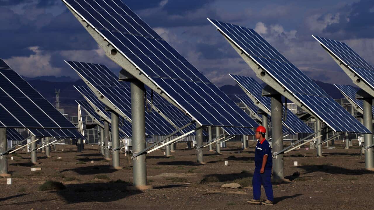 ‘You don’t have the freedom to leave’: the human cost of Australia’s solar explosion ‘You don’t have the freedom to leave’: the human cost of Australia’s solar explosion