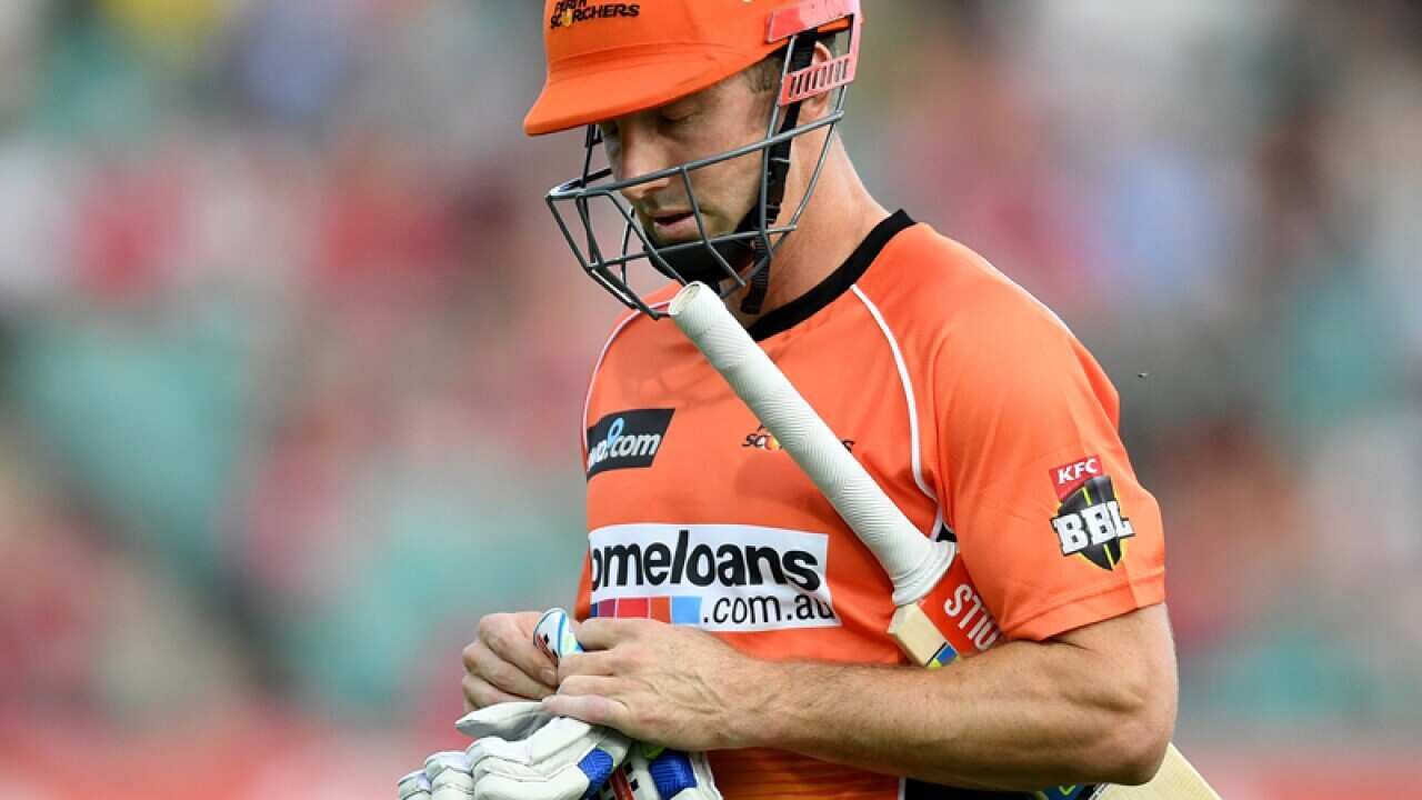 Shaun Marsh of the Scorchers