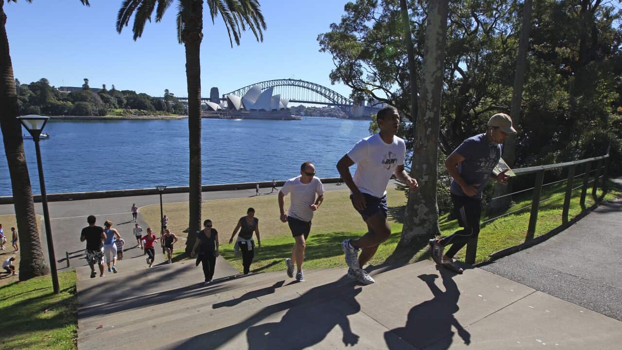 Travel Trip 5 Free Things Sydney