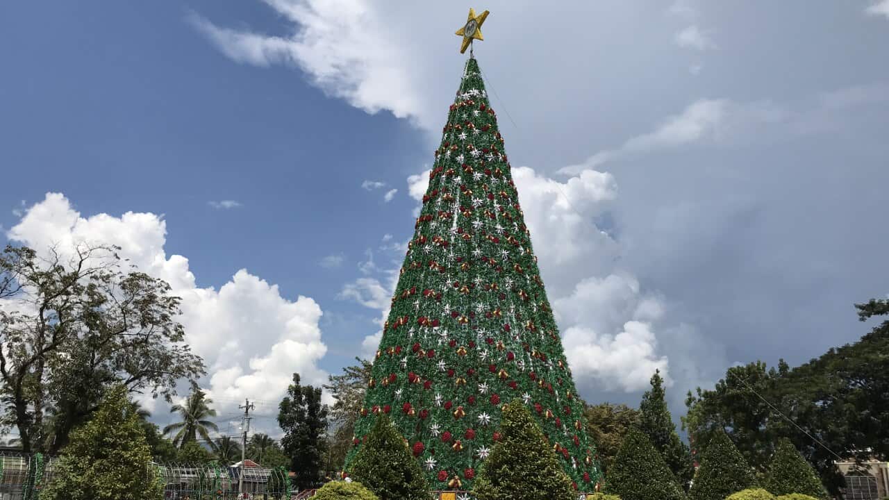 Christmas tree made from recycled materials
