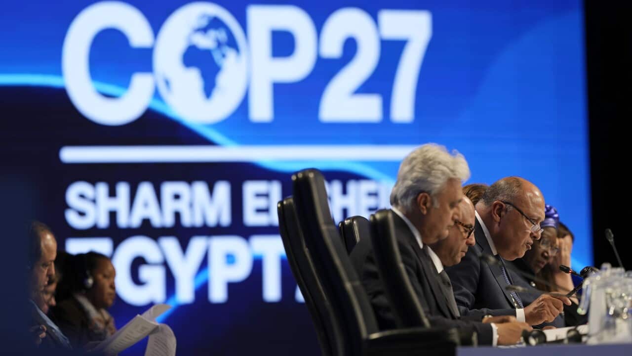 COP27 Climate Summit