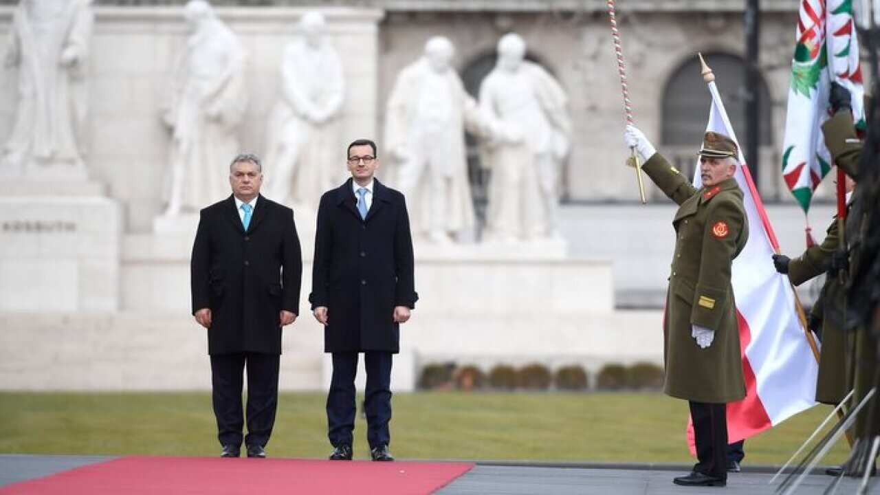 Staying on an official visit in Hungary