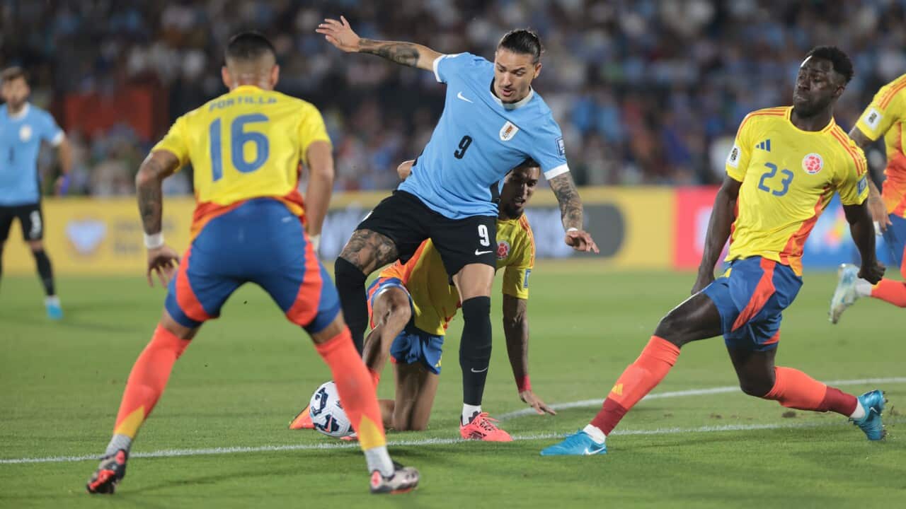 Image for read more article ''