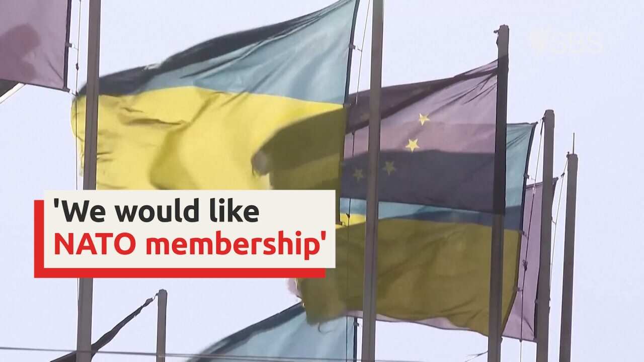 Ukraine rejects claims it will drop NATO plans to avoid conflict with Russia