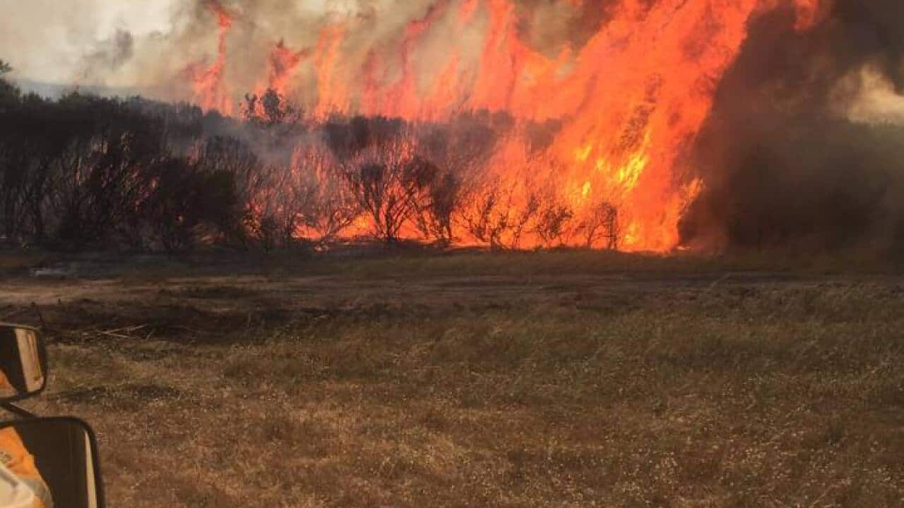 Image for read more article 'Related reading'