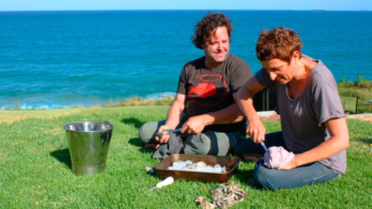 oysters1.jpg